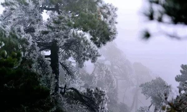 战神：夜袭